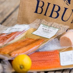 KayRansomPhotography0227