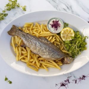 KayRansomPhotography8949 - LR