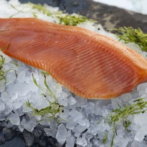 KayRansomPhotography9008 - LR