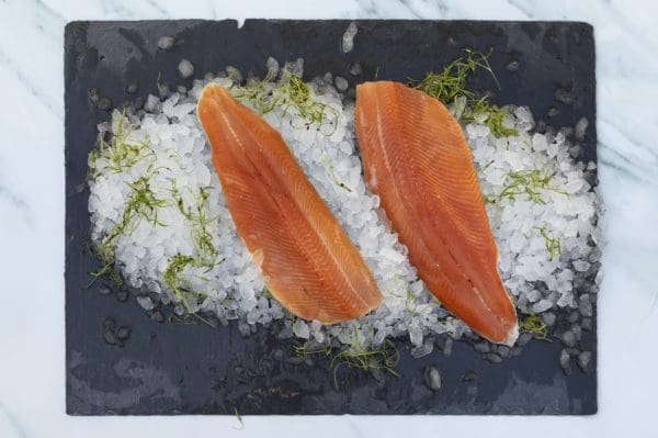 KayRansomPhotography9015_1 - LR