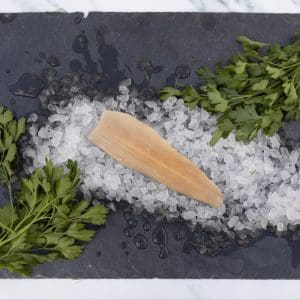 KayRansomPhotography9070_1 - LR KayRansomPhotography9070_1 - LR