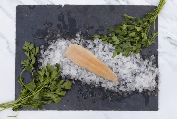 KayRansomPhotography9070_1 - LR KayRansomPhotography9070_1 - LR