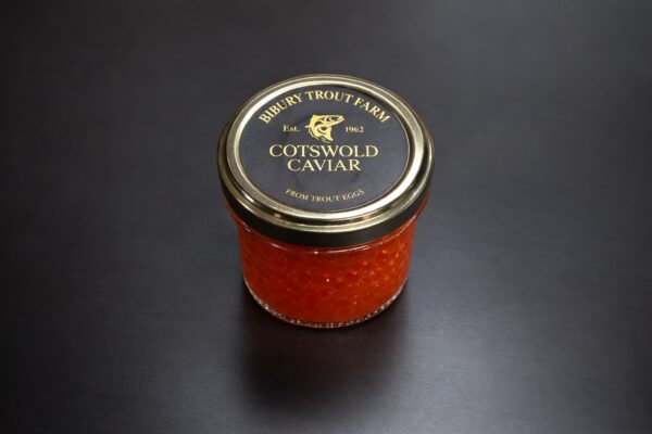 ChatGPT Image Mar 13, 2026, 03_29_20 PM